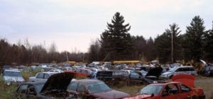 wide shot of cars in salvage yard